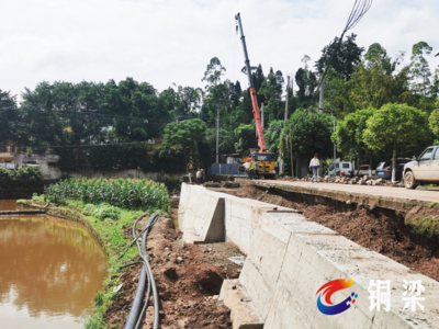 加快建設(shè)出境公路，白羊鎮(zhèn)以樹木種植破解發(fā)展瓶頸